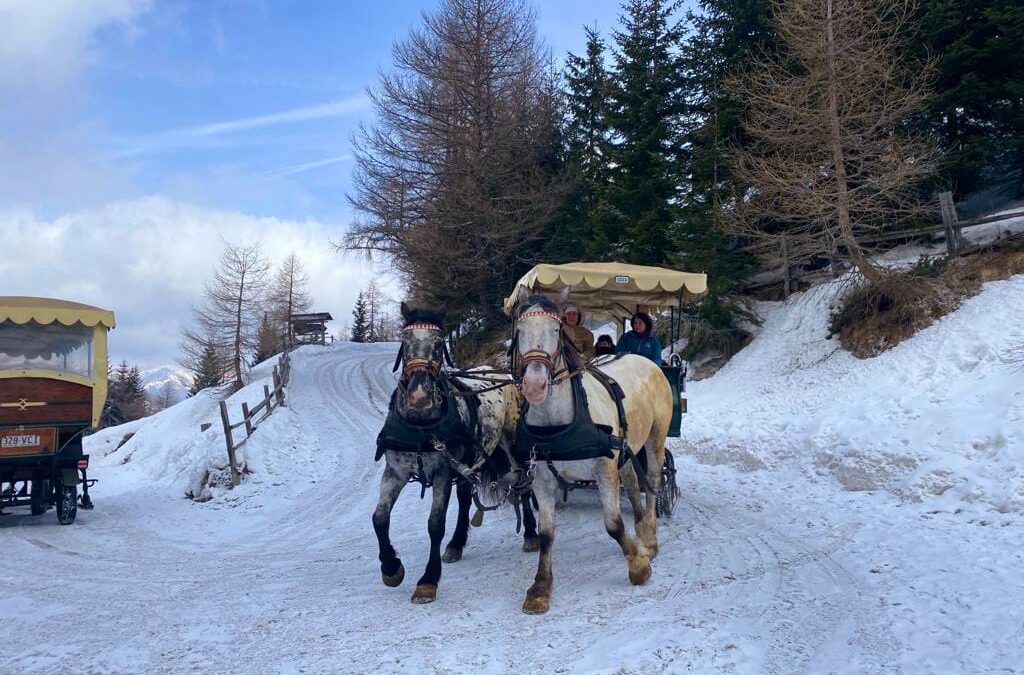 Pferdeschlittenfahrt am Katschberg