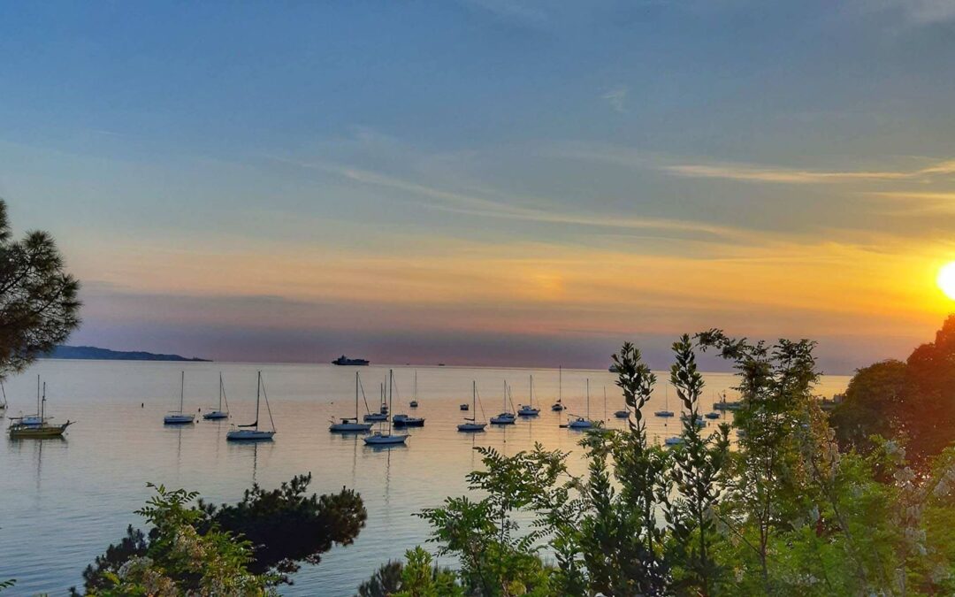 Frühling am Meer in Ankaran